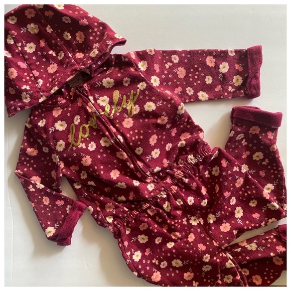 Carter's Floral Lovely Jumpsuit Burgundy 24M - Picture 2 of 5